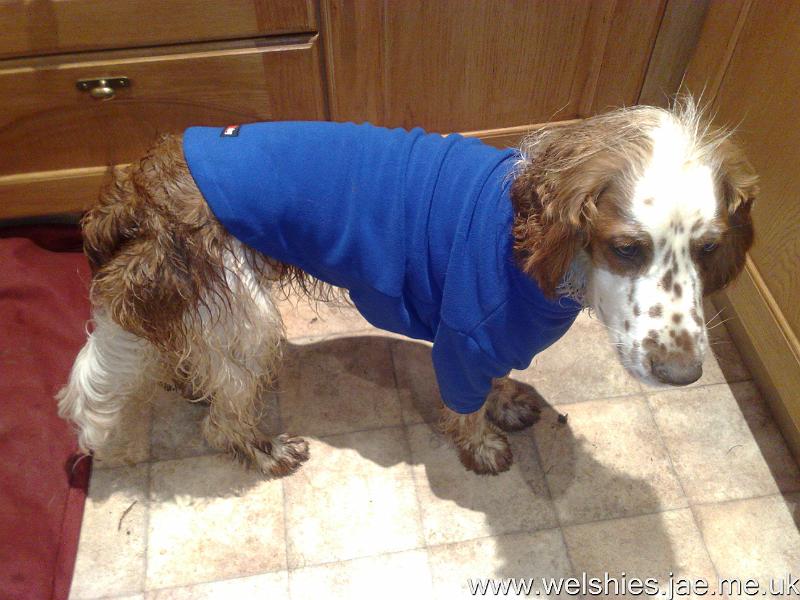 2010-12-12 03.jpg - Drying after a bath